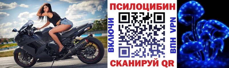Псилоцибиновые грибы мицелий  Купить  Гаврилов Посад 